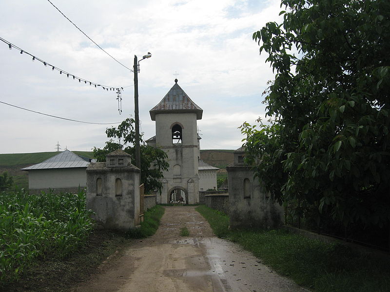 File:Mănăstirea Teodoreni.jpg